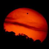 Venus Is Callin (Part 1)