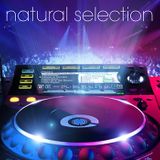 Dj Niko Corleone - Mix Commercial Dirty Dutch House (Décembre 2011)