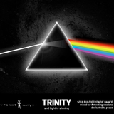 Trinity - Metting Sessions vol.3 / vegano hooligano non official mix