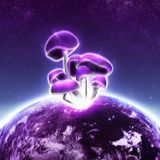 Good Morning Earth "TbLv"
