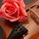 Gold & Platinum Ep.01 (Oldies, Rock 'n' Roll, 60's)