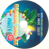 Grosse Sause 2015 - DJ Andre Engert