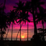 PACIFIC ISLAND LOVERS 2015