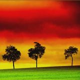 Reggae flavours 01