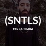 SNTLS #45: Capibara