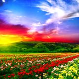 ~ Le Monde en Couleurs ~ World Music Trip