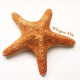 Flegma #16
