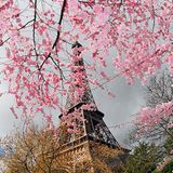 Vibes Of spring by Classy D