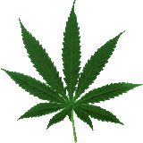 Blaze It In A Chalice Or A Spliff