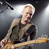 Sting Salute