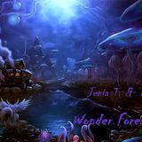 Jenia T & Dubmax - Wonderful Forest