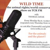 Stop the crow and magpie cull - in conversation with Paul McDonald
