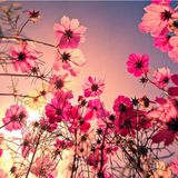 2015 Marsis Spring Re-Rub (Deep House Edit)