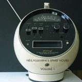 Neil Kulkarni's Spare Hours Volume 1: Let's Start What We Have Come Into The Room To Do