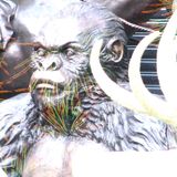 Stinky Grooves 06.10.15 from the murky dubwise depths to the fragrant psychedelique heights