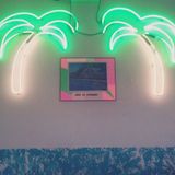 FLAMINGO XXV / Honolulu