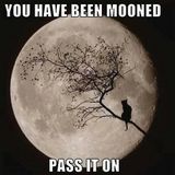 THE MOON & SIXPENCE - 18:18 MP3 320 - INSTRUMENTAL FOR ELECTRIC PIANO GUITAR & FX
