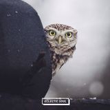 Eclectic Soul 29 w/ fLako, Hawk House, Raphael Saadiq, Moods, Vangelis and more