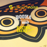 Booha set (Electric Castle festival 2014)