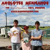 The Vinyl Dungeon 6.October.2014 - Axolotes Mexicanos