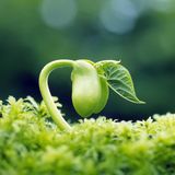Vernal Tendencies (Grand Erazer's Deephouse Mix - M34 - 2013/04/15)