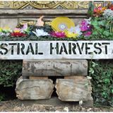 MEDI-A MIX OF LOCAL MEDITATION GURU AND PADDED THOUGHT-MADE FOR ASTRAL HARVEST'S ANGEILCA'S BASKET