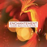 2016-01-22 ::: Mouvement Libre - Enchantement