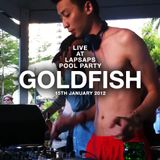 DJ Goldfish Live @ LapSap's Pool Party 2012