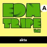 akta @EDMA TRIPE Vol.1 8-9