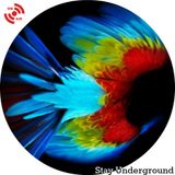 Broadcast Underground #012 : The Absolute Pelican