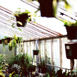 Monday Morning Mixtape 100
