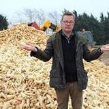 Food Waste - costly to the environment and to our pockets
