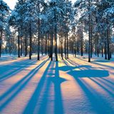 Metallomusikum Podcast 12.13.15: A Year in Review