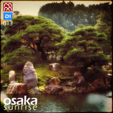 Osaka Sunrise 013