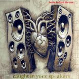 caught in your speakers