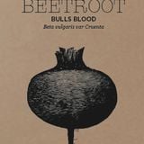 Bull's Blood Beets