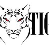 Yallamix with Mo Tiger 17-3-16 Arabic Radio Show