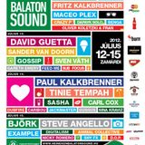 Fritz Kalkbrenner - Live @ Balaton Sound Festival, Hungary (12-0-7-2012)