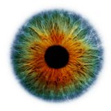 HAL 9000 - Open Eyes 2012 - DJ Set