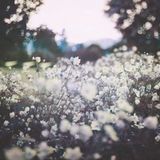 Soul Nu-Jazz Podcast // Jackhicham