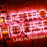 Electro House Mix | Liviu A Podcasts: Episode 005