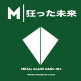 MADFUTURE | PINEAL GLAND GANG MIX 3 | MIXED BY IAO AUM