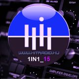 1IN1_15