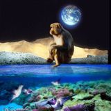 GAIA Tribe Deep South 4