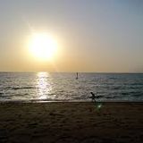 Silent Storm - Afternoon Sunset