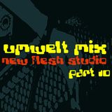 Umwelt@Newflesh Studio Part 10 (2010)