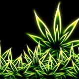 THE DUB SIDE OF THE MOON