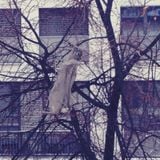 Der Schue - the beauty of the plastic bag pt. 1 / 20.01.13