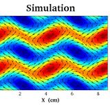 SIMULATION