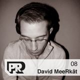 Panorama Mix Podcast #8 : David MeeRkat